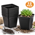 12pcs Traditional black square flower pots / Seedling platter, Pots for succulent plants, Pot