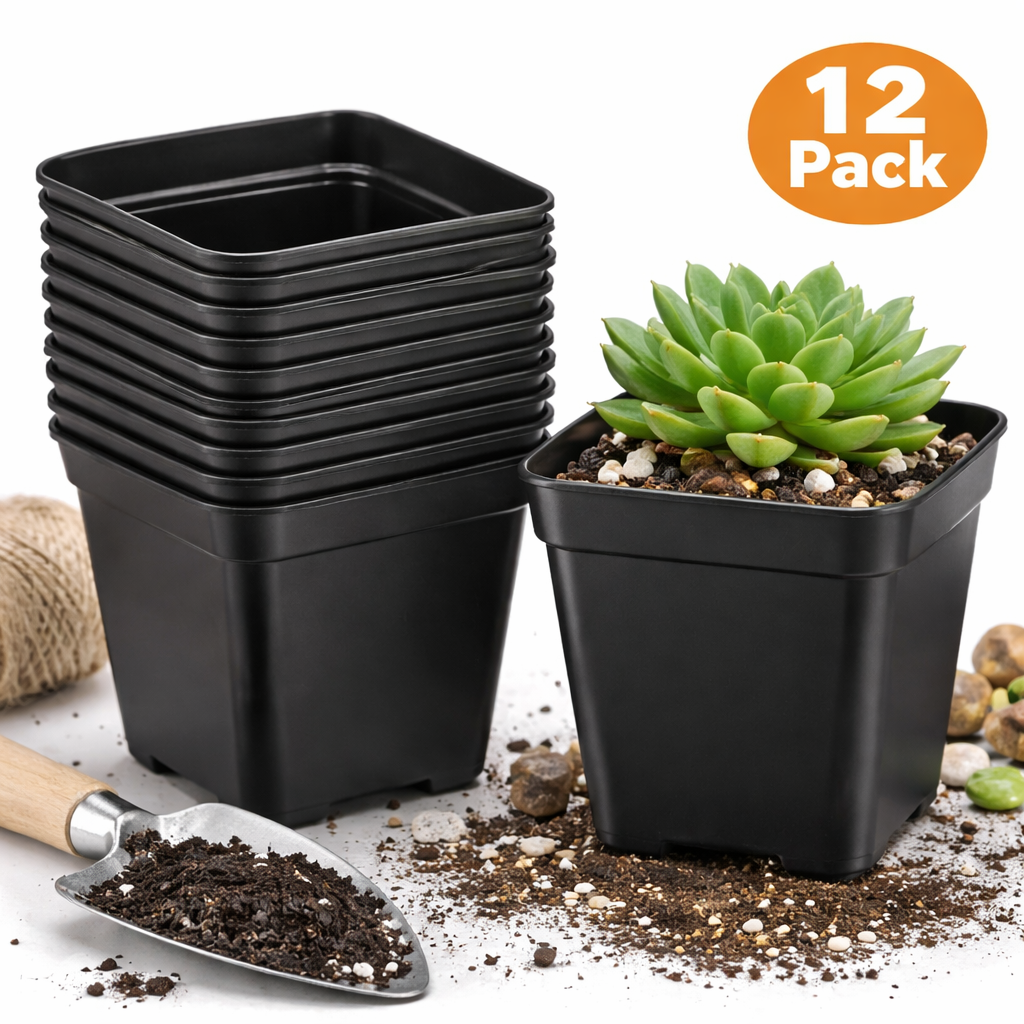 12pcs Traditional black square flower pots / Seedling platter, Pots for succulent plants, Pot